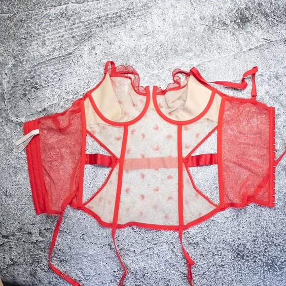 Victorias Secret Womens Corset 36D Limited Edition Mary Widow Mesh Lace Bustier - Picture 3 of 14